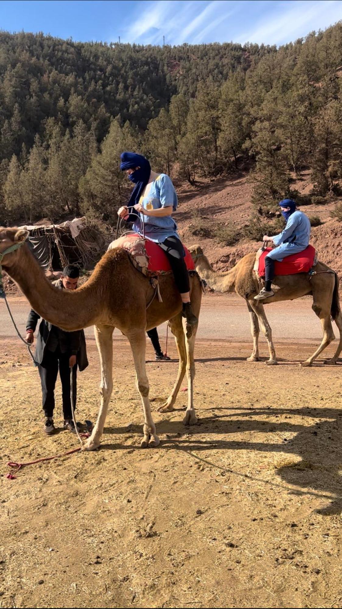 Tazart Lodge Marrakesh Eksteriør bilde